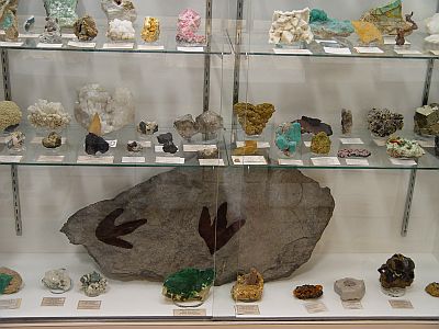 mineral display