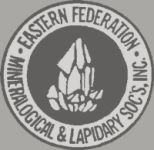 The CVMC is associated with the EFMLS